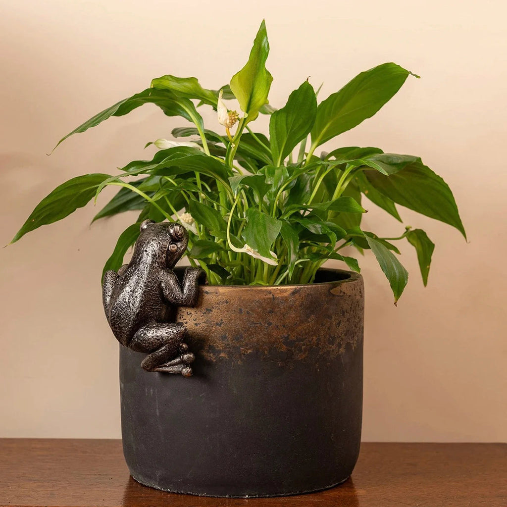 Frog at the Waterline — Bronze Frog Pot Hanger