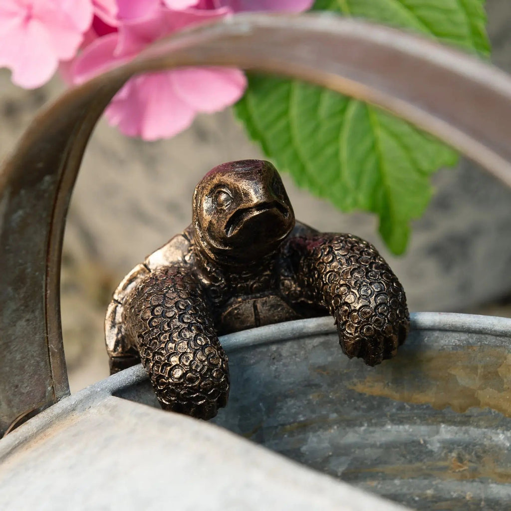 Tortoise Underfoot — Bronze Tortoise Pot Hanger