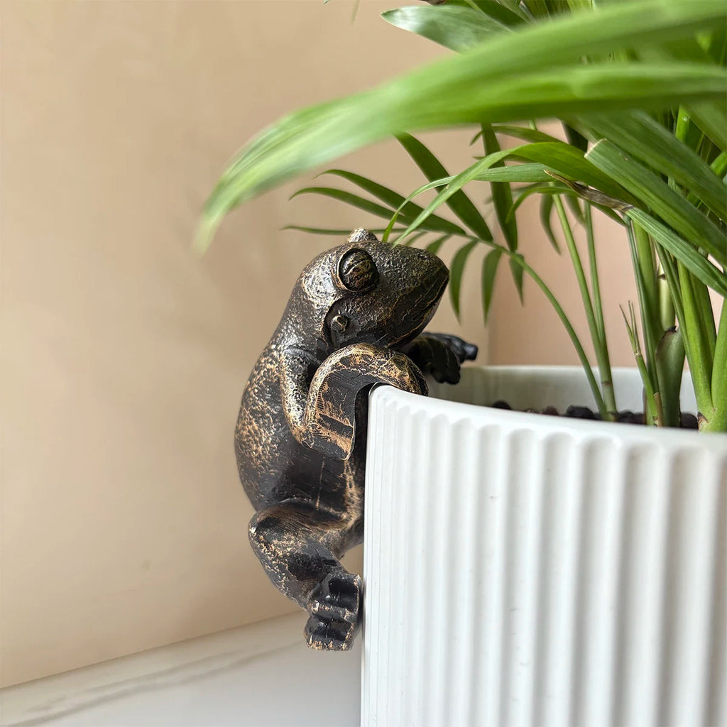 Frog at the Waterline — Bronze Frog Pot Hanger
