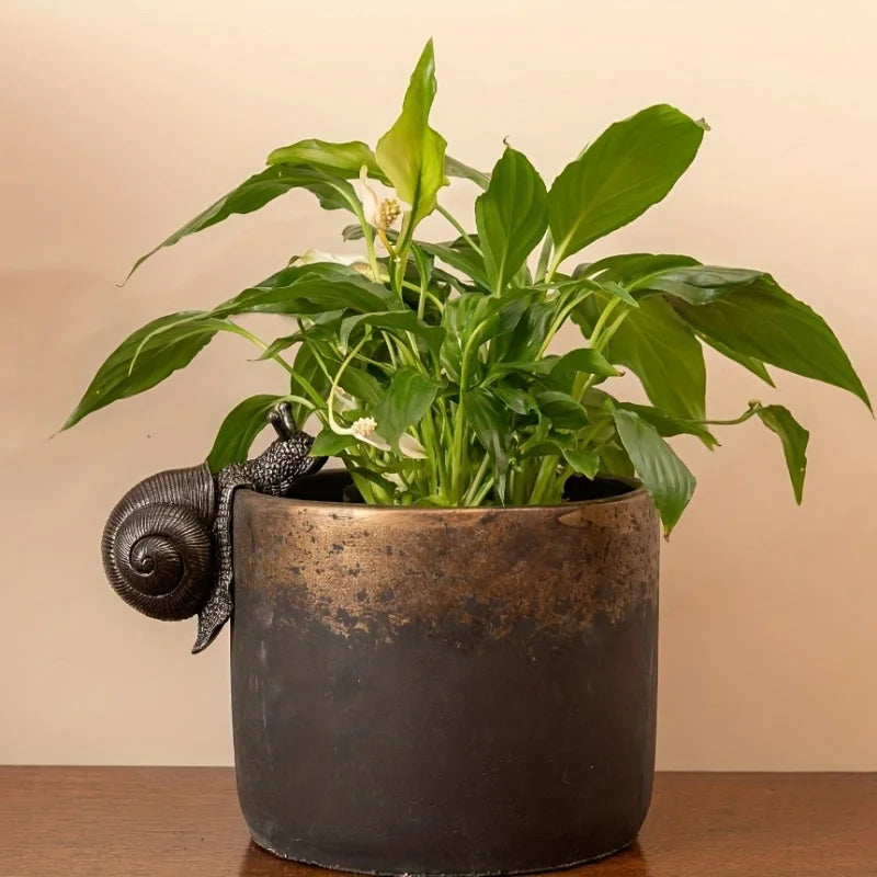 The Slow Traveller — Bronze Snail Pot Hanger