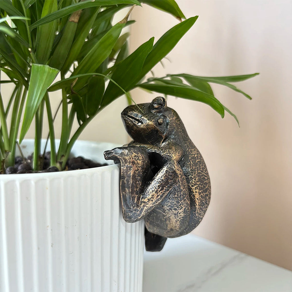 Frog at the Waterline — Bronze Frog Pot Hanger
