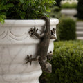 Gecko on the Glaze — Bronze Gecko Pot Hanger