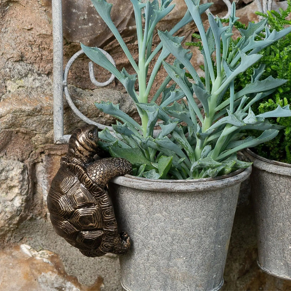 Tortoise Underfoot — Bronze Tortoise Pot Hanger