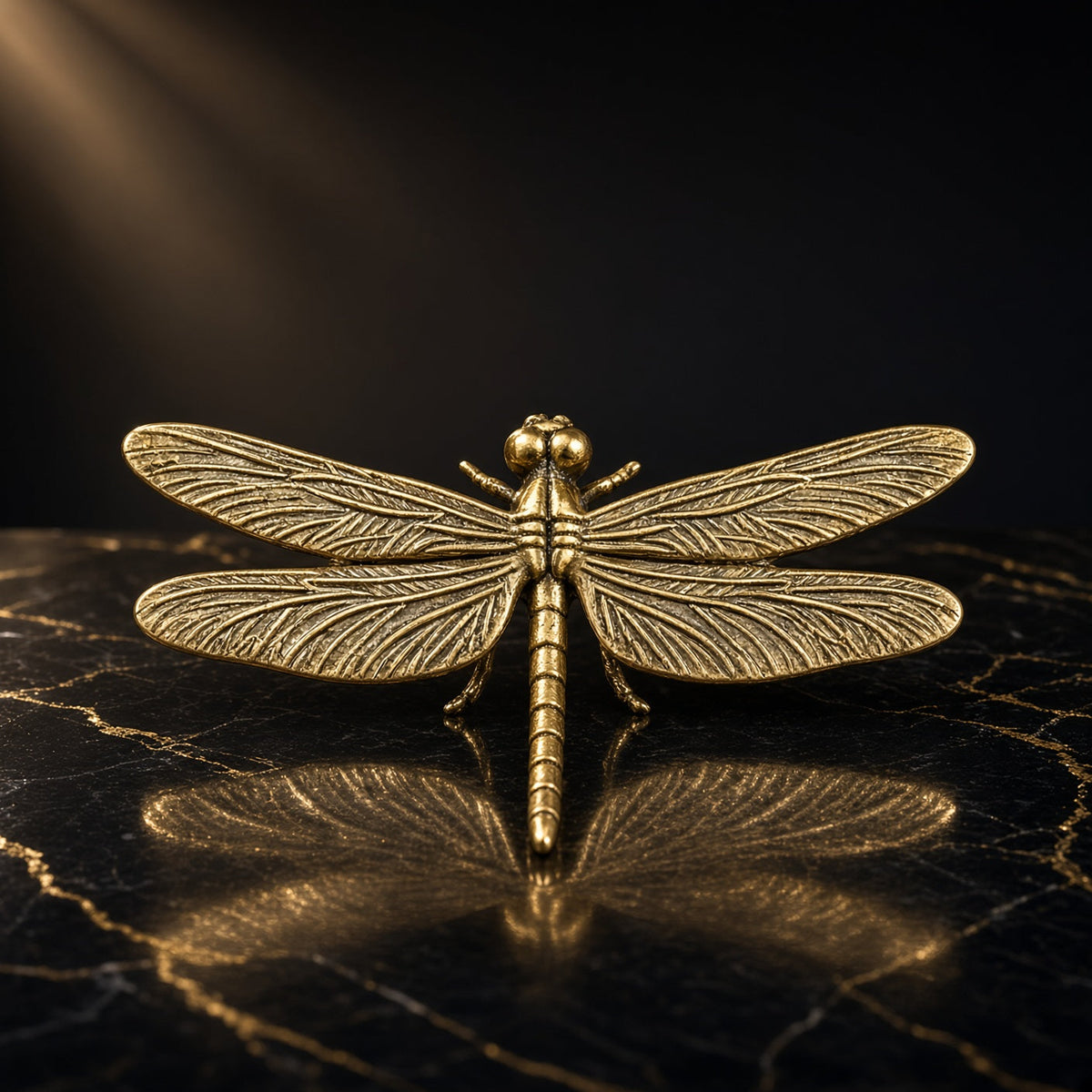 Dragonfly, Alighting — Small Bronze Dragonfly