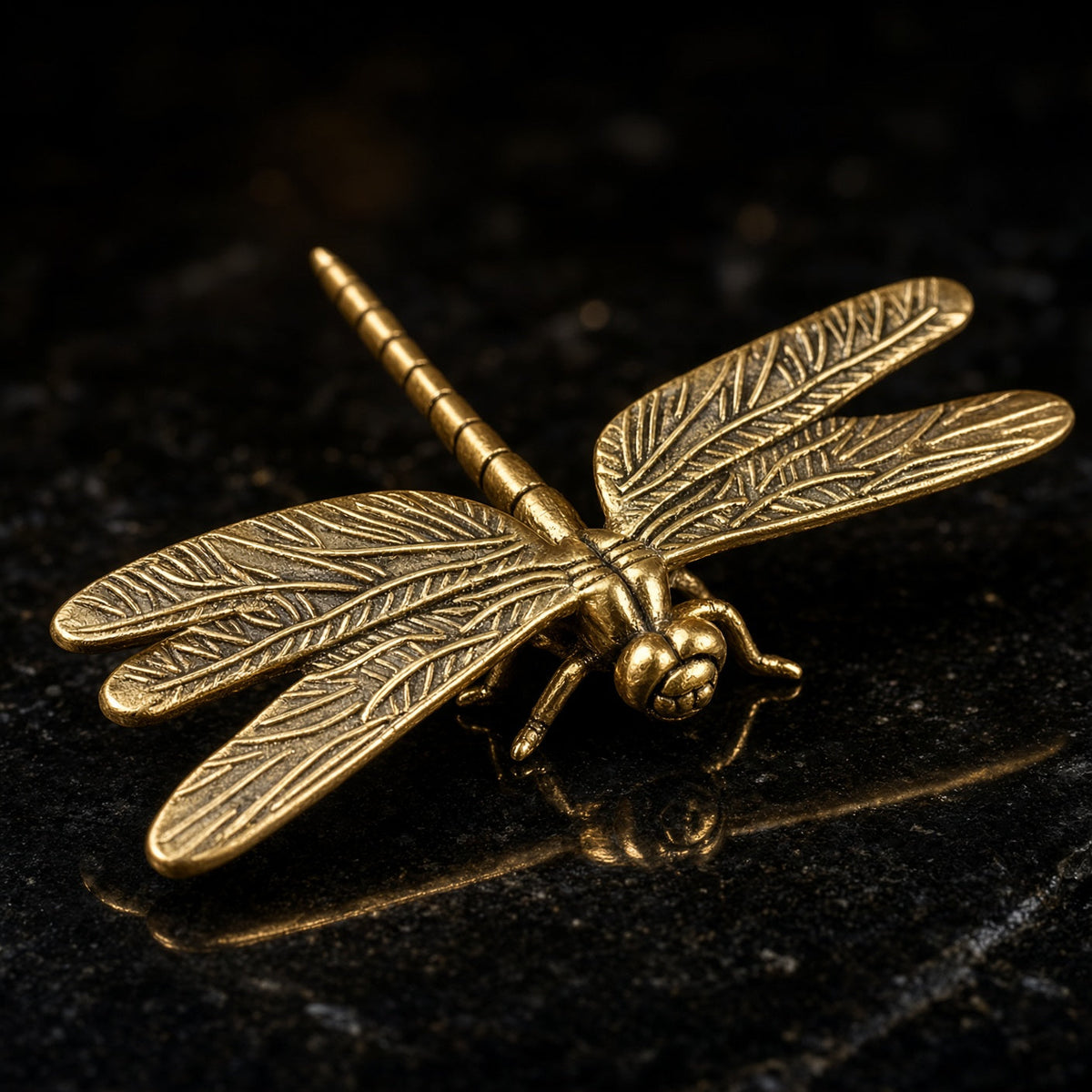 Dragonfly, Alighting — Small Bronze Dragonfly