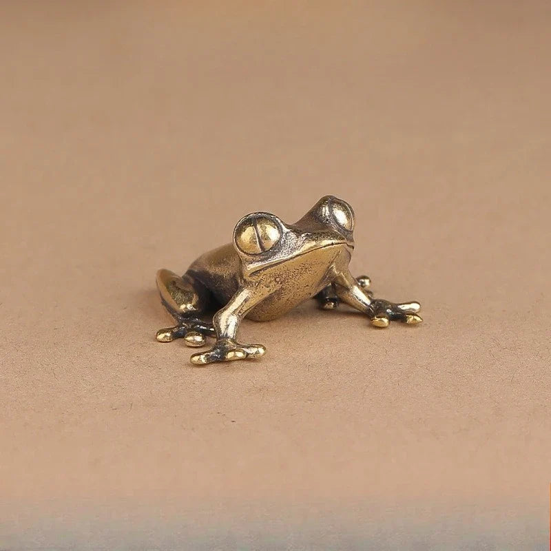 Tree Frog, Clinging — Small Bronze Tree Frog