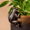 Frog hook pot decoration