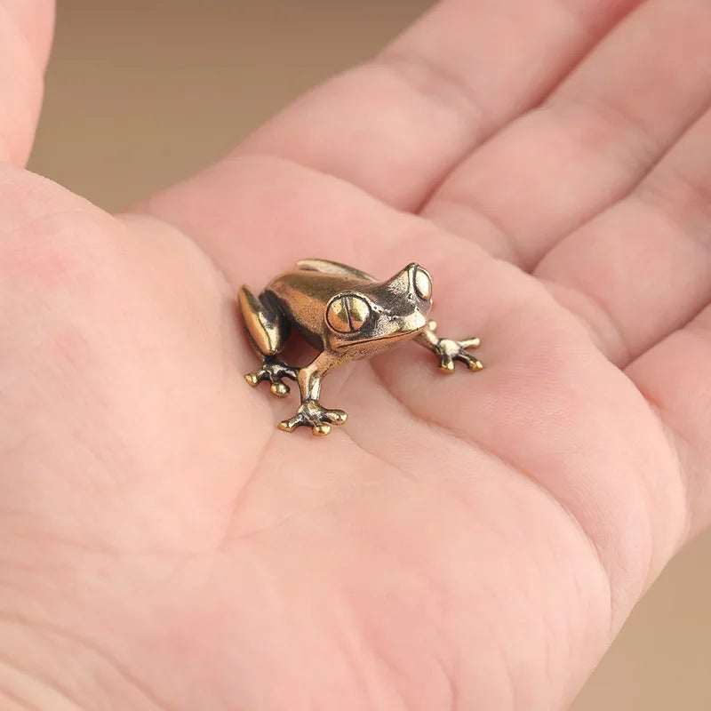 Tree Frog, Clinging — Small Bronze Tree Frog