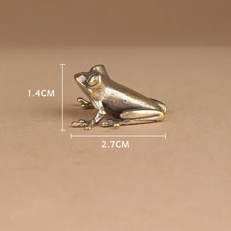 Tree Frog, Clinging — Small Bronze Tree Frog