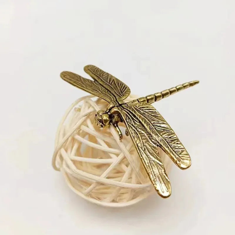 Dragonfly, Alighting — Small Bronze Dragonfly