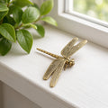 Dragonfly, Alighting — Small Bronze Dragonfly