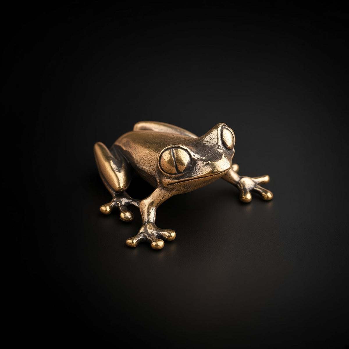 Tree Frog, Clinging — Small Bronze Tree Frog